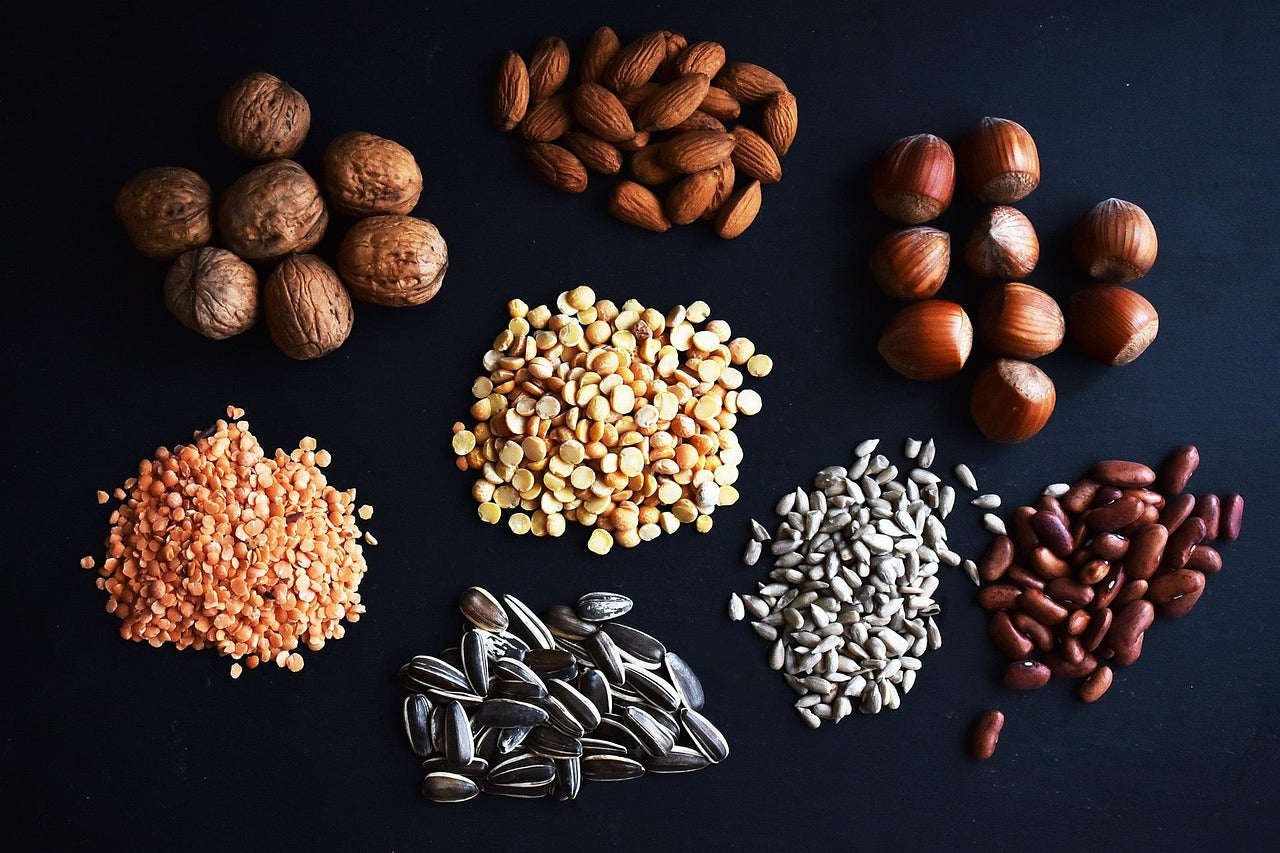 PROTEÍNA VEGETAL VS PROTEÍNA ANIMAL